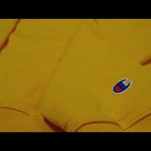 Champion Sweater